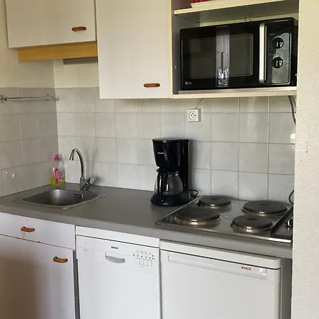 아파트 2p Avec Balcon, Vue Montagnes Et Parc, - Fr-1-515-45 빌라르 드 랑